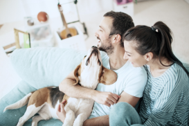 Gewerbliche Haftpflichtversicherung: Grundlagen zu Haftung und Deckung