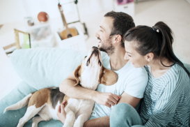 Inhaltsversicherung: fachkundig beraten von den versicherten Sachen bis hin zur Ertragsausfallversicherung